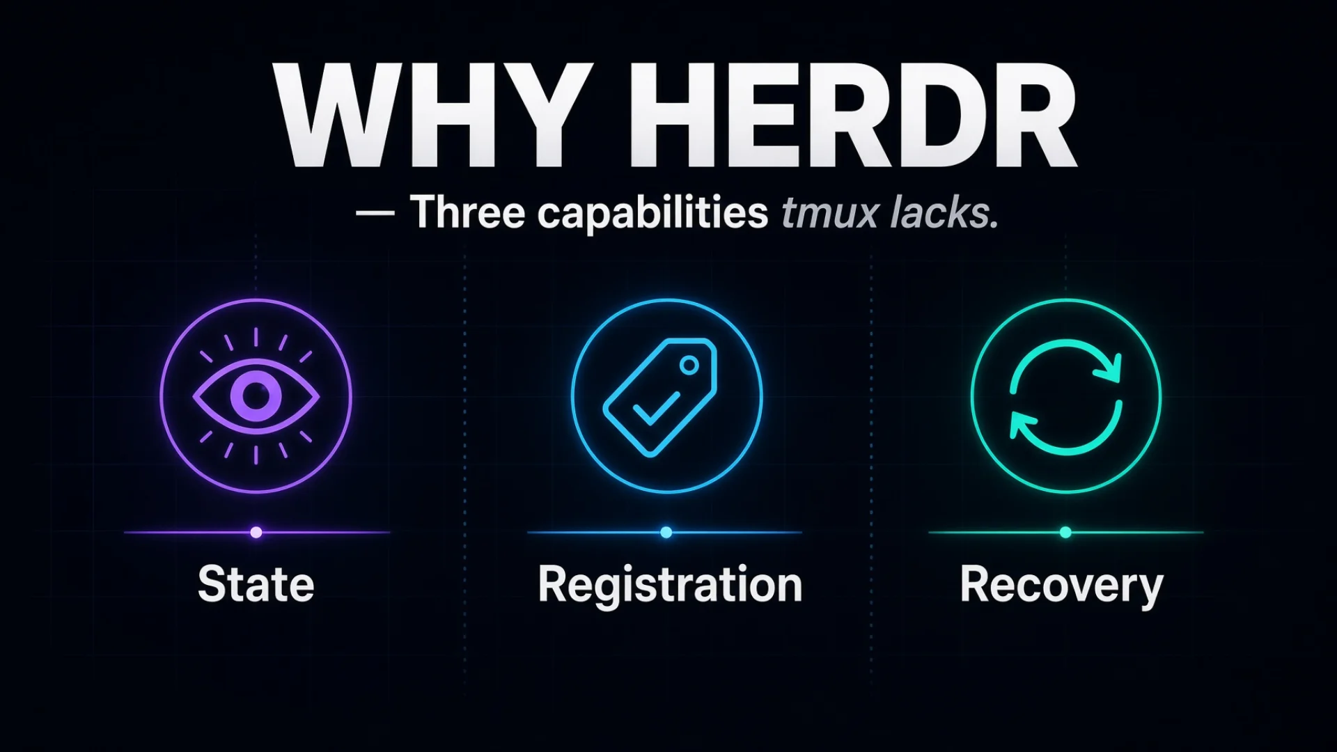 Three glowing icons for State, Registration and Recovery on a dark grid background with the title WHY HERDR