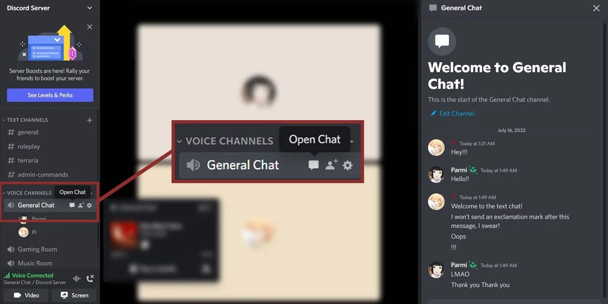 Discord voice channel interface with connected members