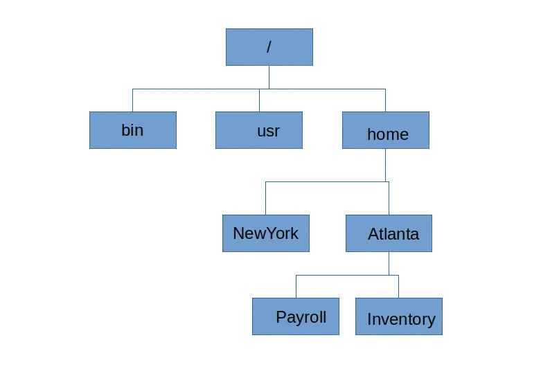 File system directory tree hierarchy diagram with nested folders