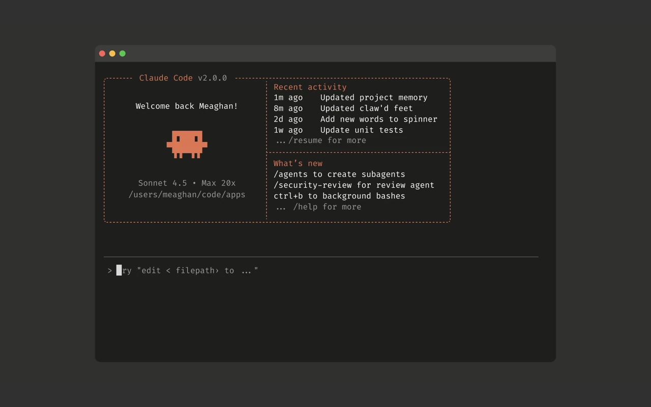 Claude Code terminal interface for professional AI coding workflows